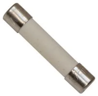 פיוז מדיום 250V 2A תוצרת גרמניה